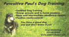 Pawsitive Paul's Dog Training, group and private lessons